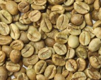 Кофе в зернах зеленый Колумбия Супремо, упак 1кг